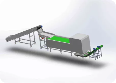 Induction Sorting System